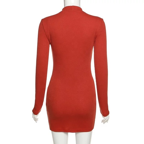 Longsleeve Bodycon Ribbed Dress - Picture 5 of 6